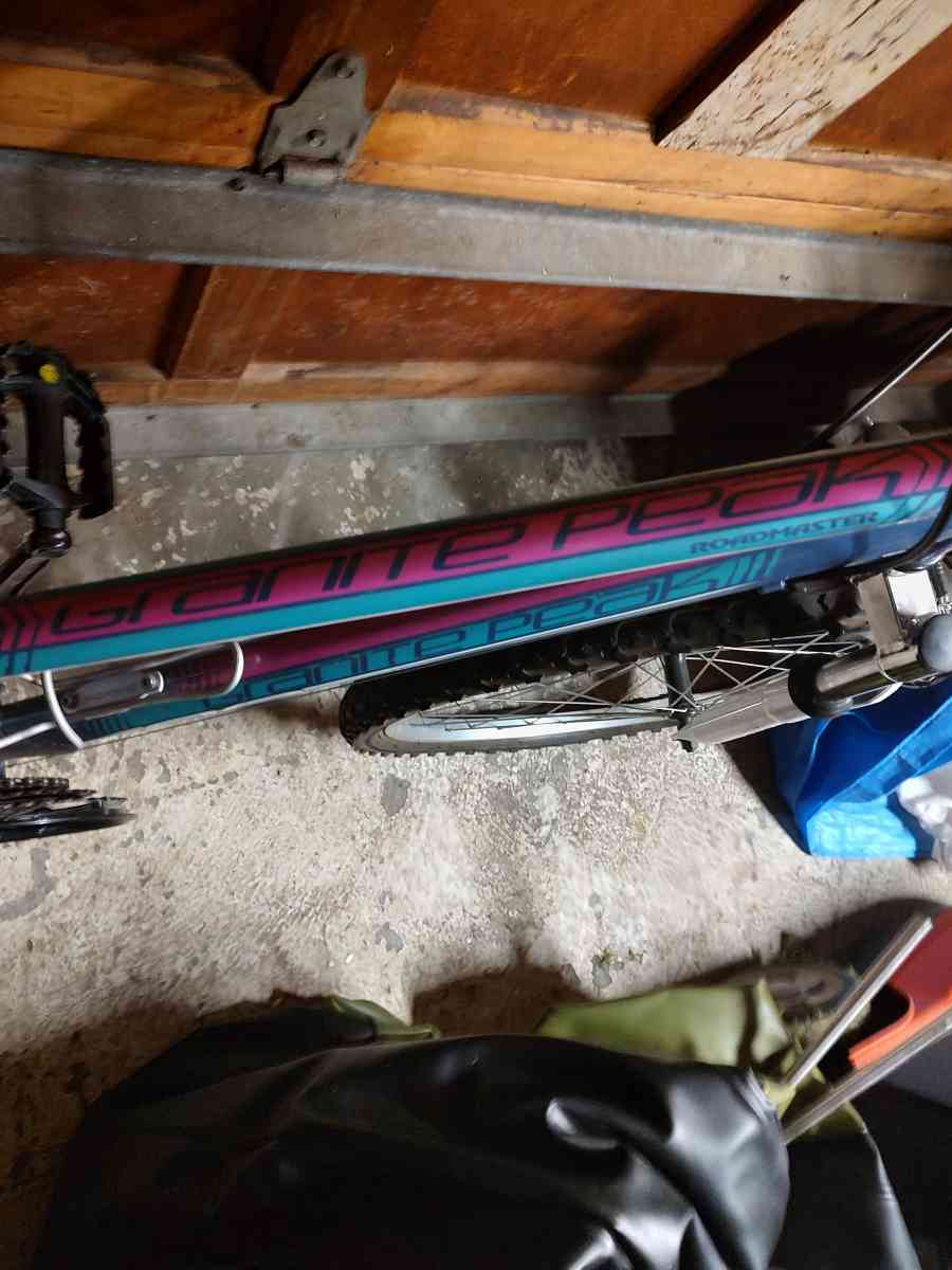 Womens21 speed mountain bike