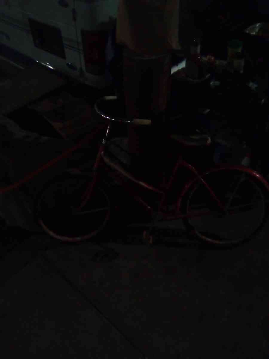 antique 1959 sears and roebuck bicycle