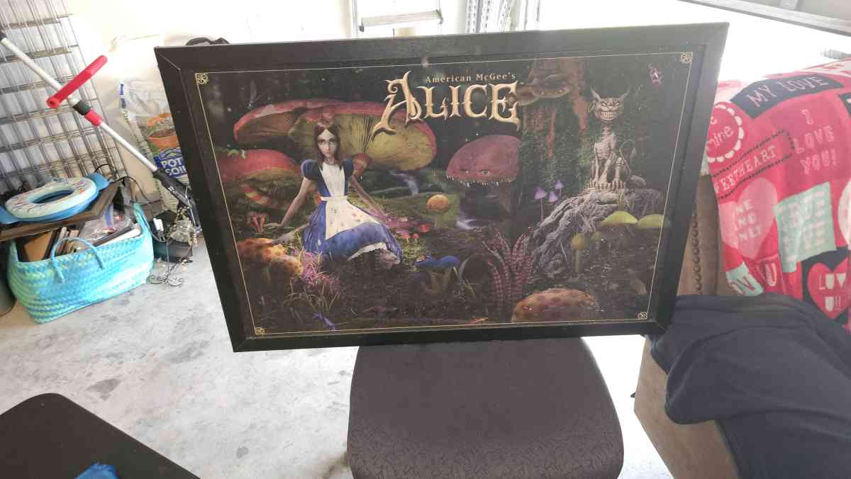 american mcgees alice mushroom garden  painting