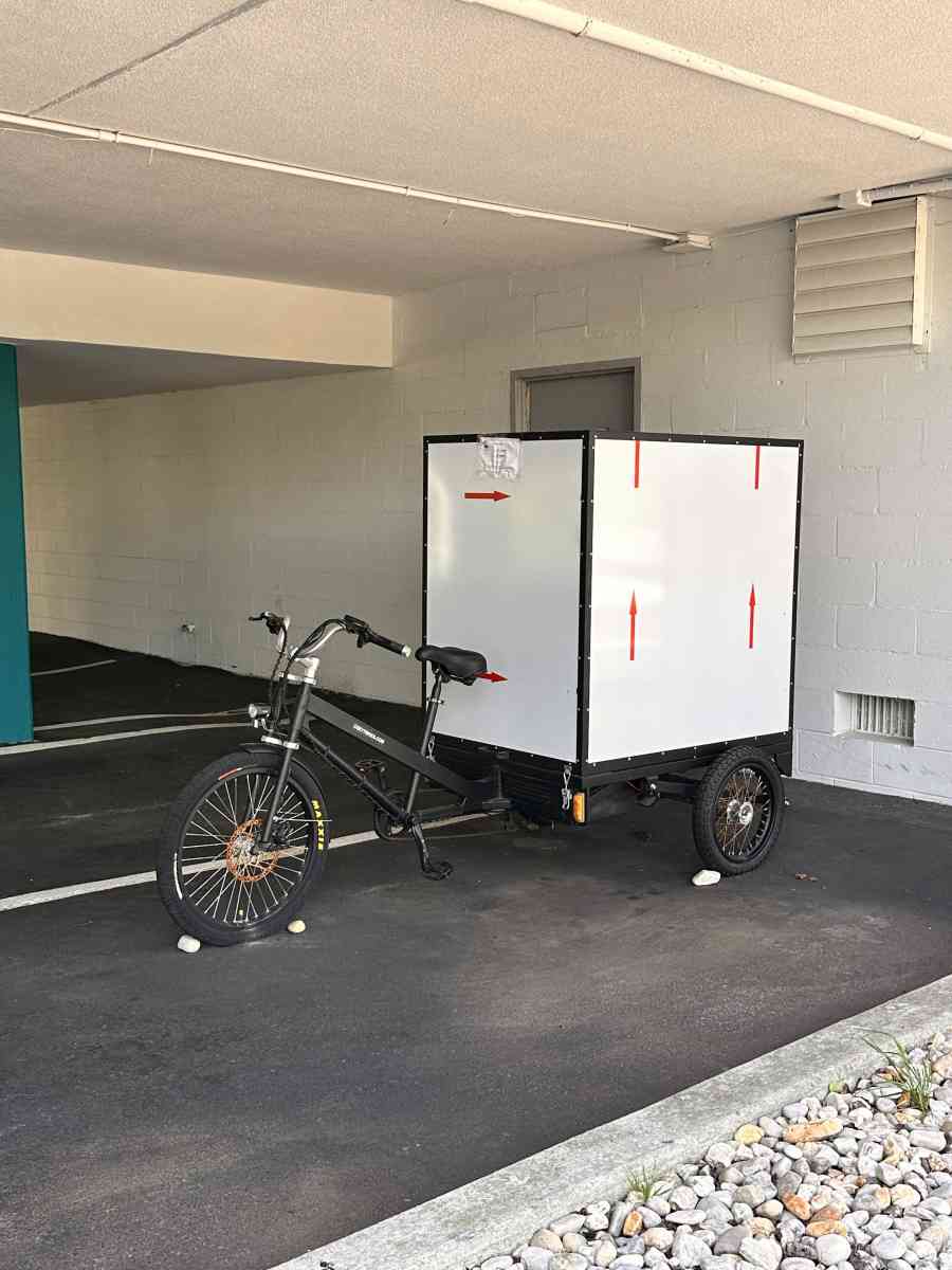 Electric Box Cargo Bike Trike  Efficient Delivery Solution