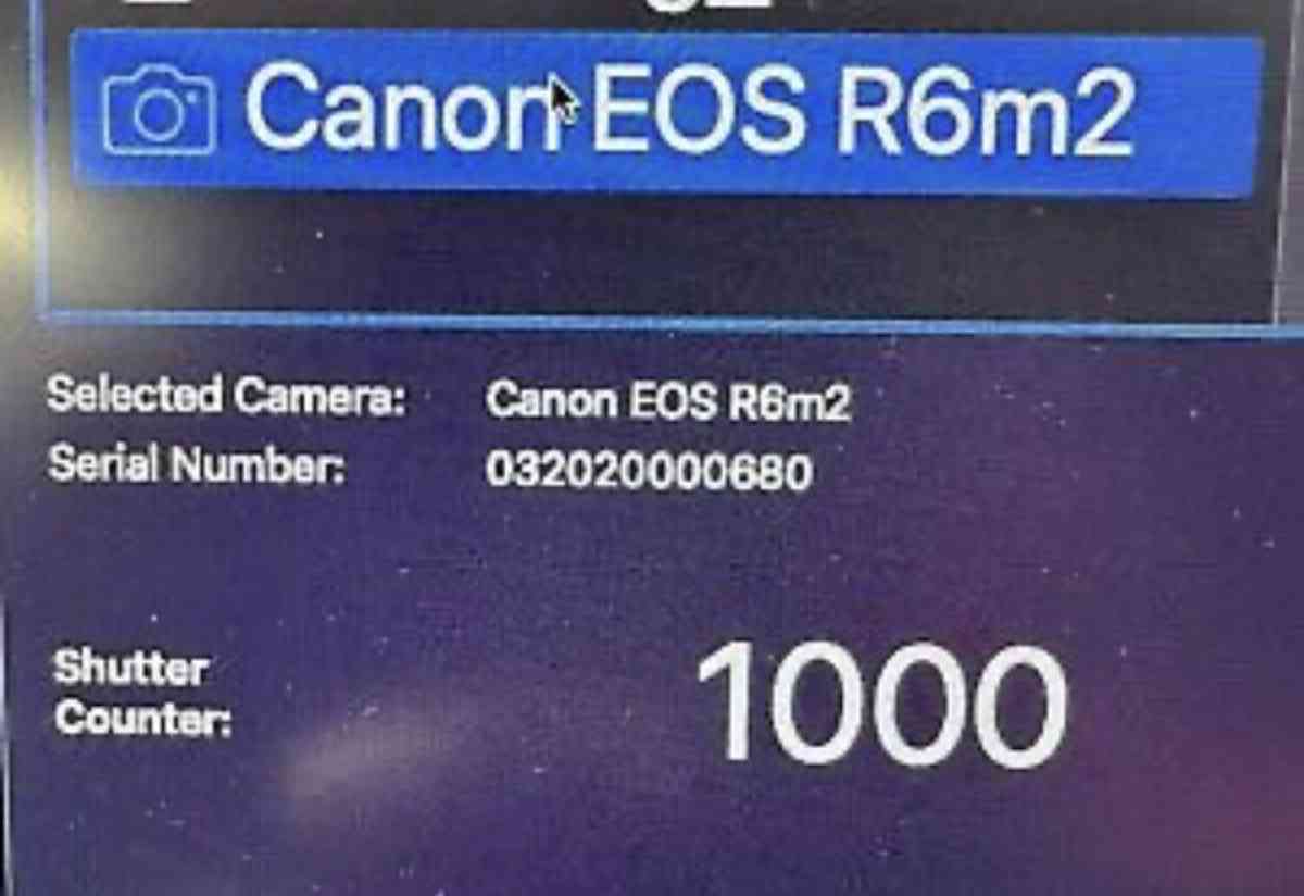 Canon EOS r6 mark ii