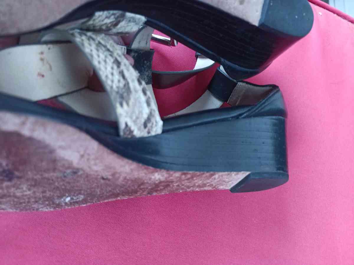 Coach snappy leather snakeskin candles size 6 5