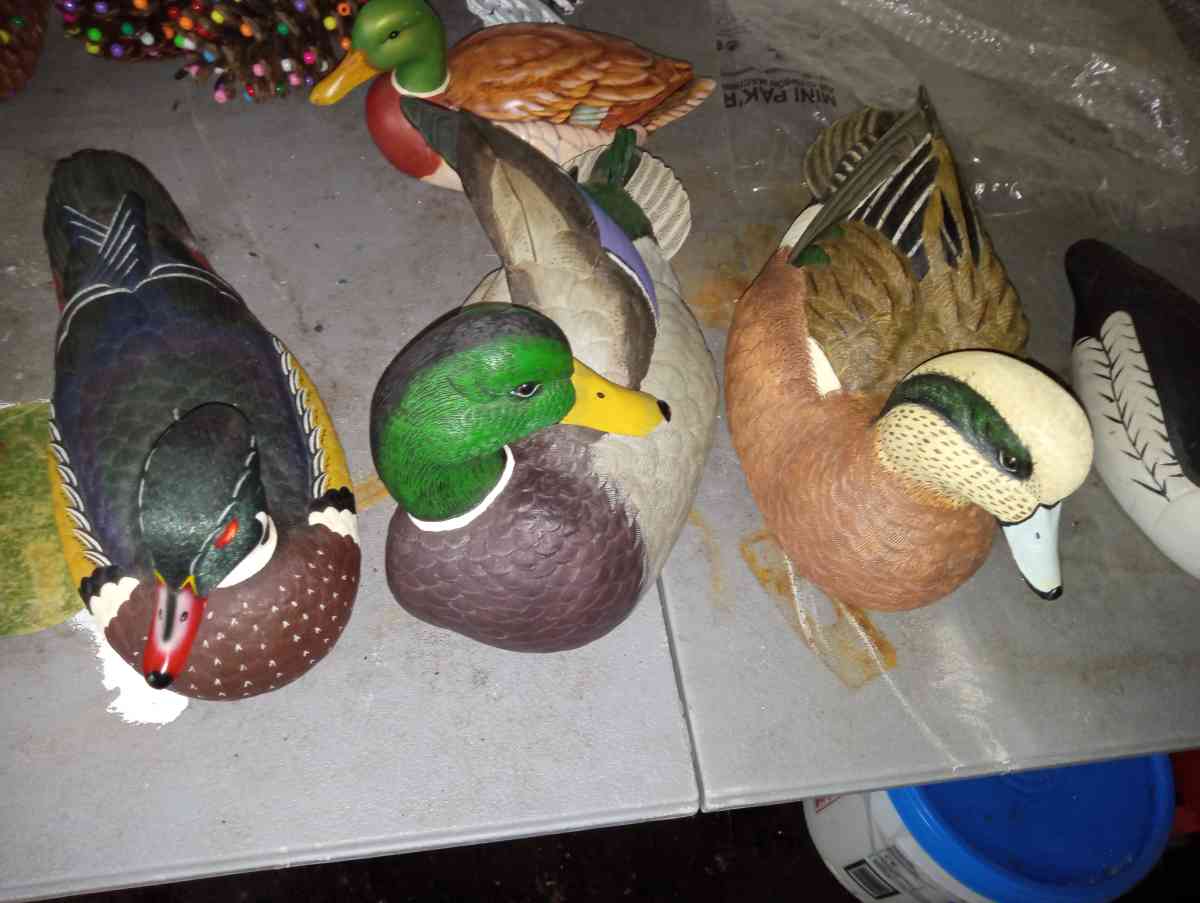 hand painted duck collection