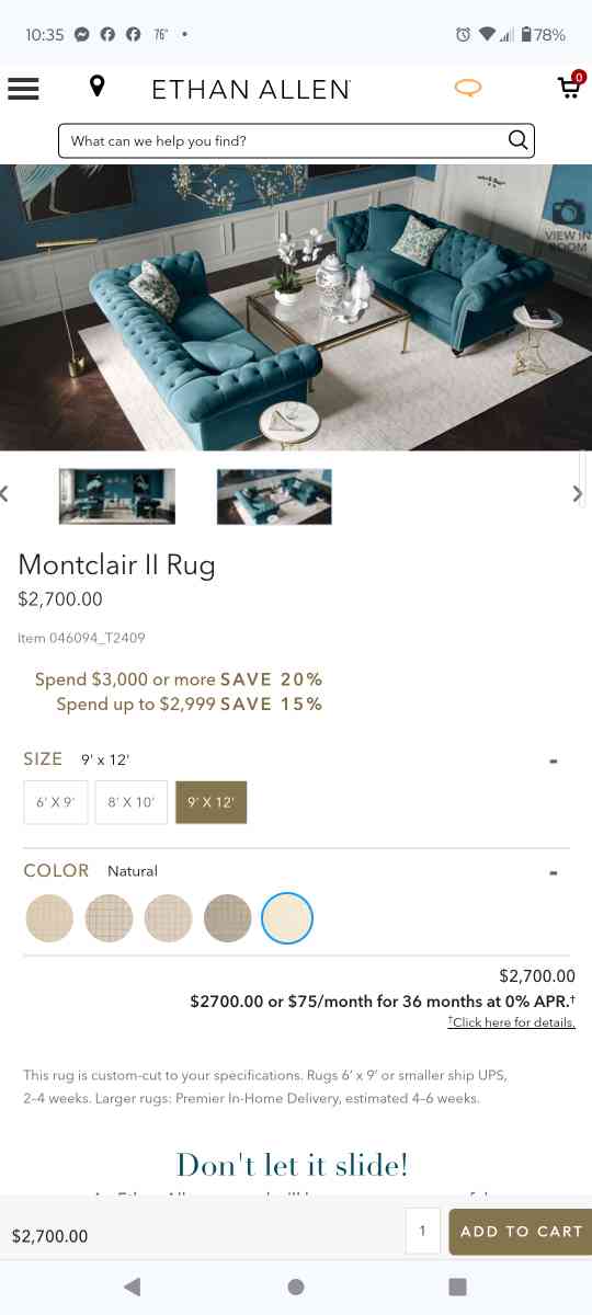 Ethan Allen Montclair Rug