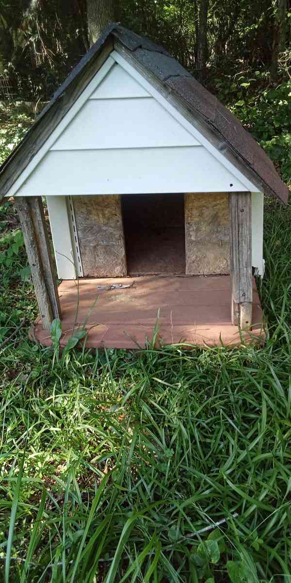 Dog Housem medium size