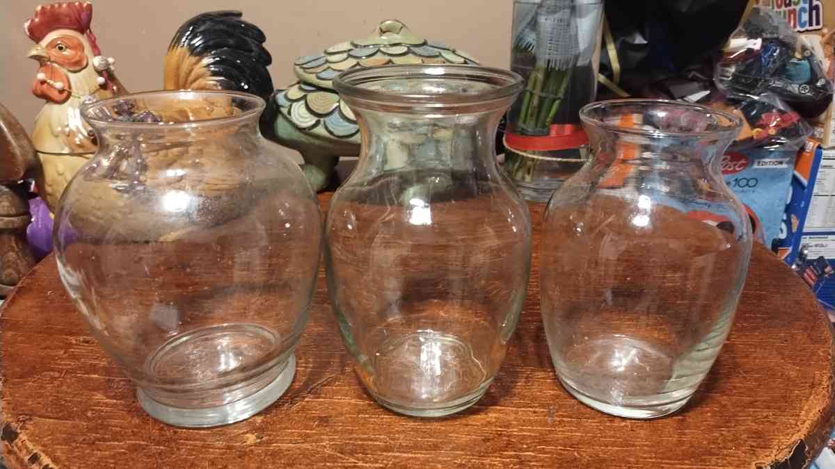 assorted flowers vases