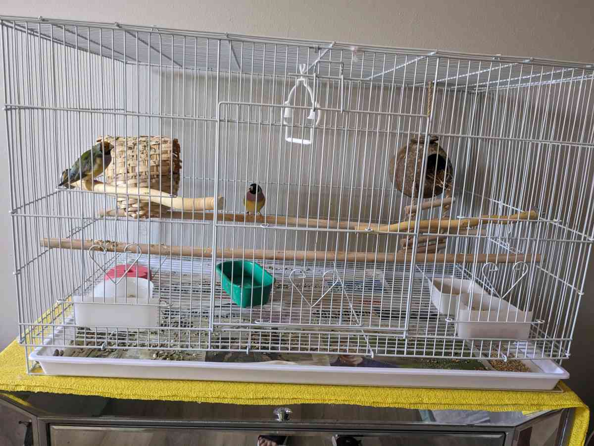 Flight birdcage in the box NEW