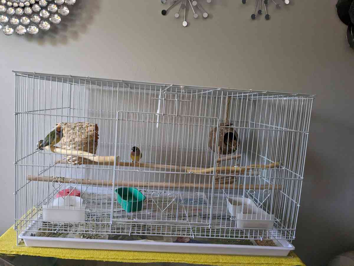 Flight birdcage in the box NEW