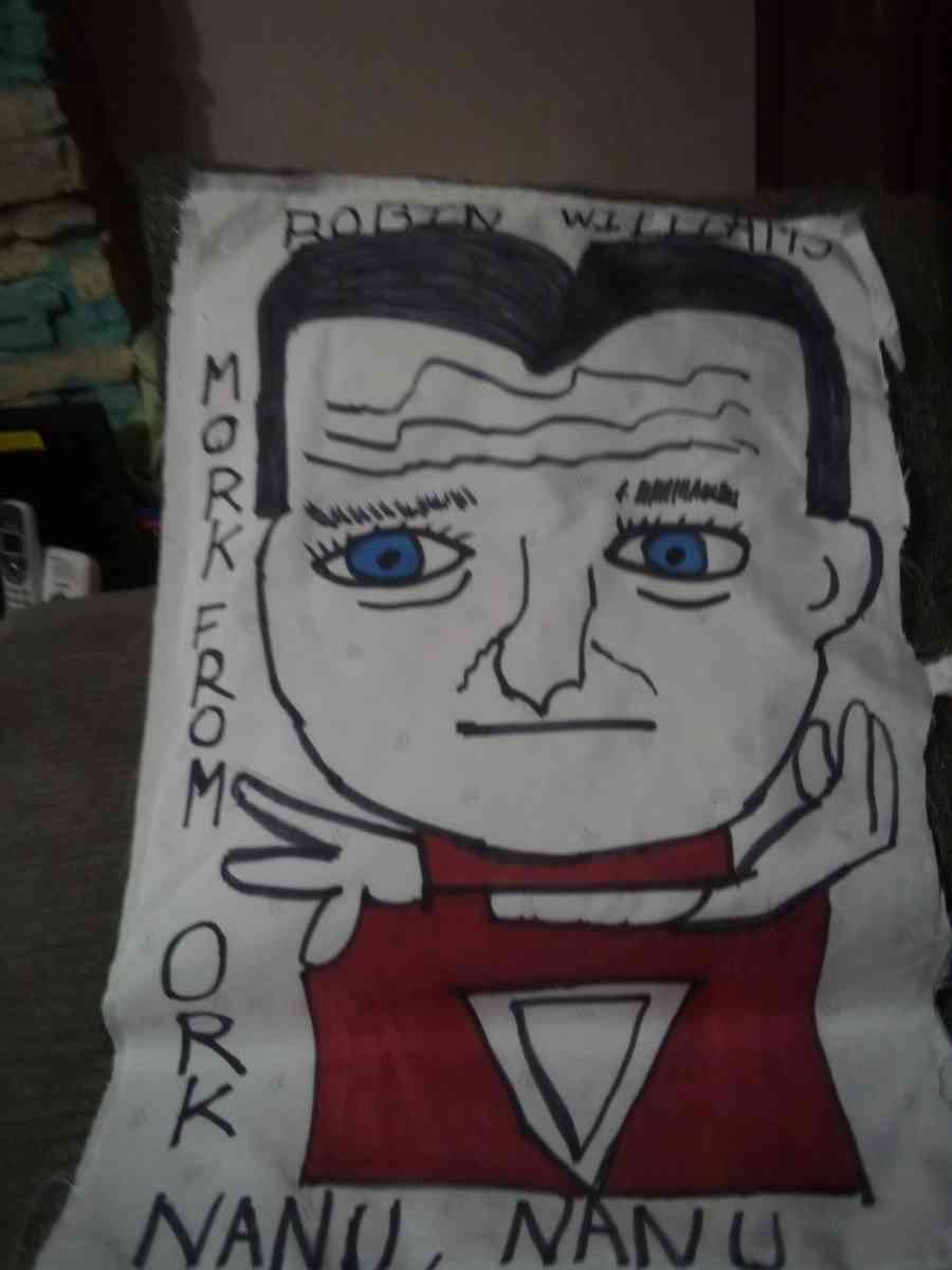 star track and baloo and more pillows