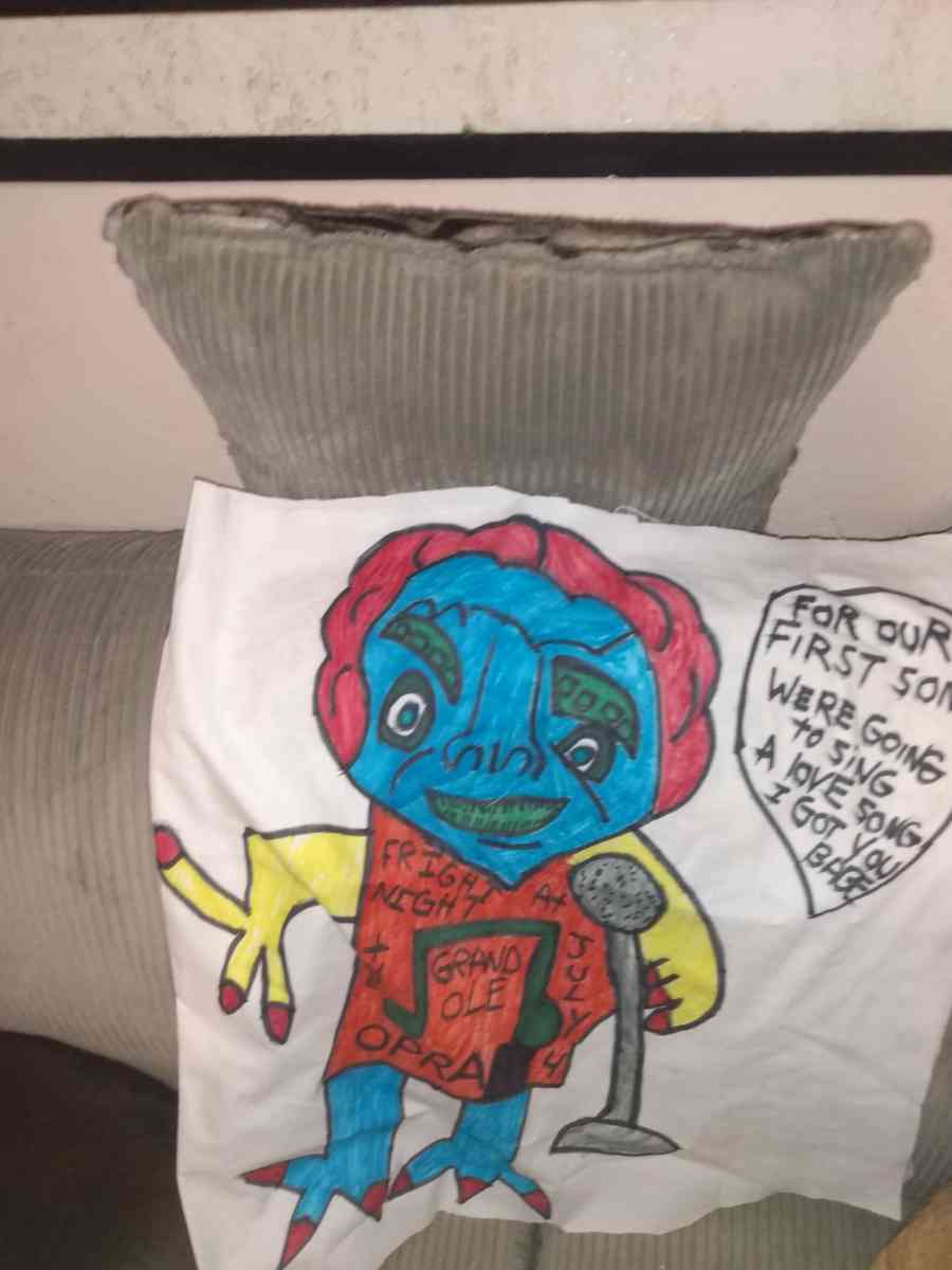 variety of pillows and wall hangings