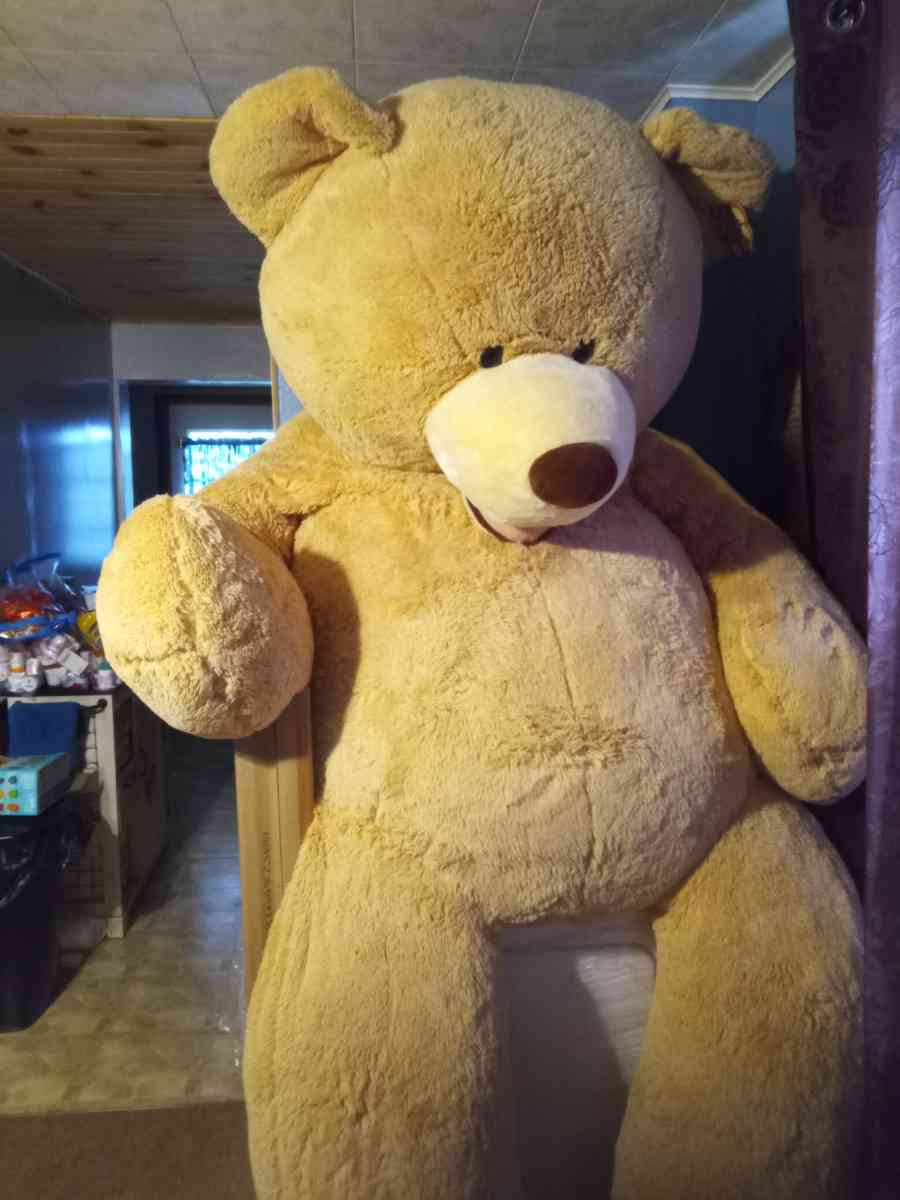 teddy bear 93 feet
