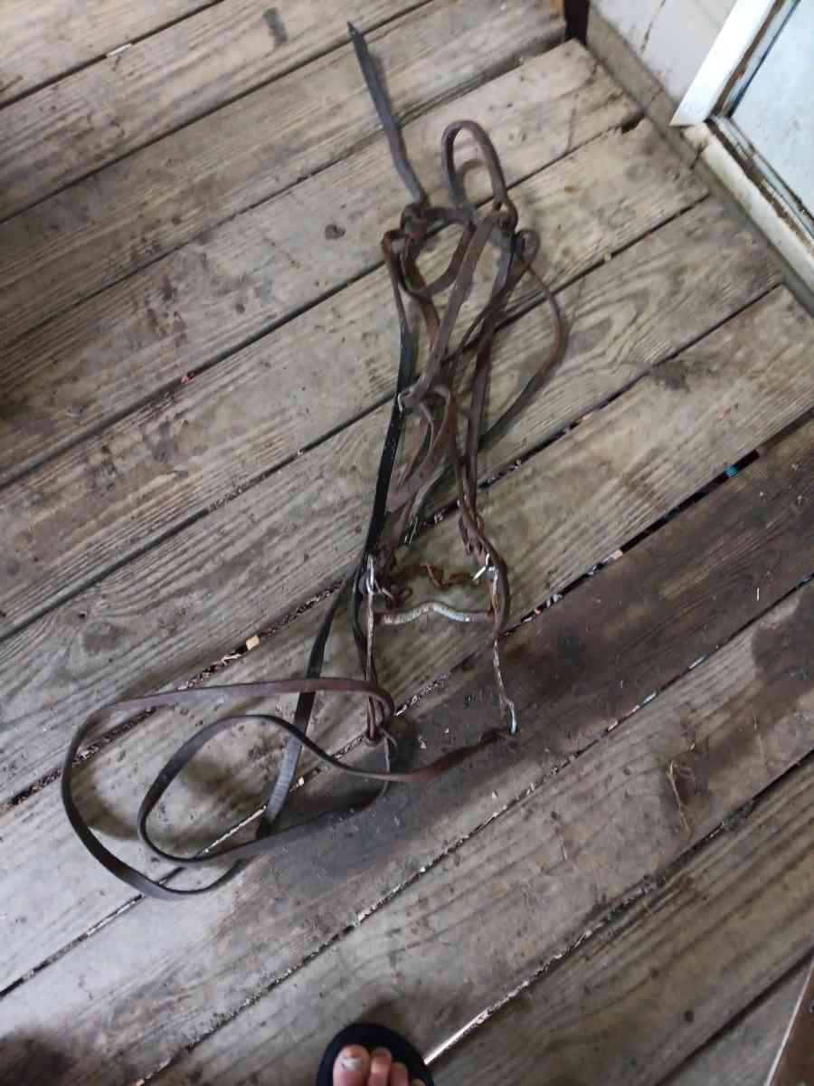 bridle with bit n reins