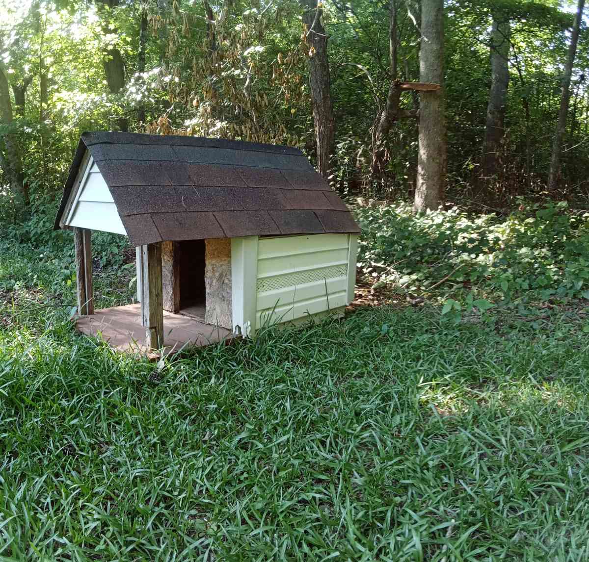Dog House