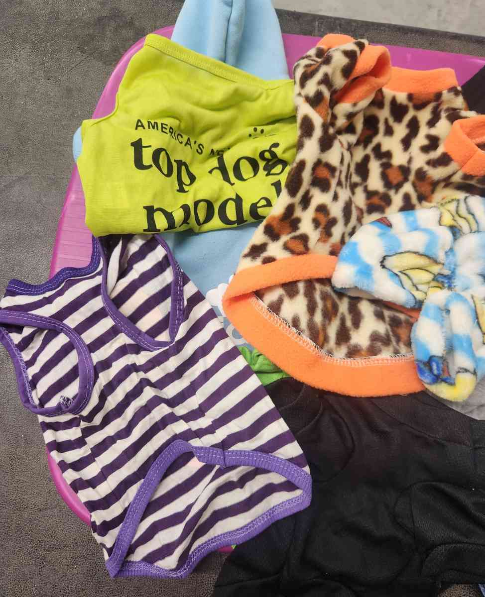 Pet Dog Lot of 11 Outfits Like New S to M