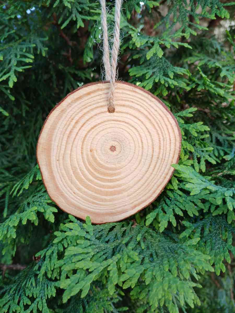 Down by the Sea Hanging Wooden Pour Painted Sharks Eye Ornam