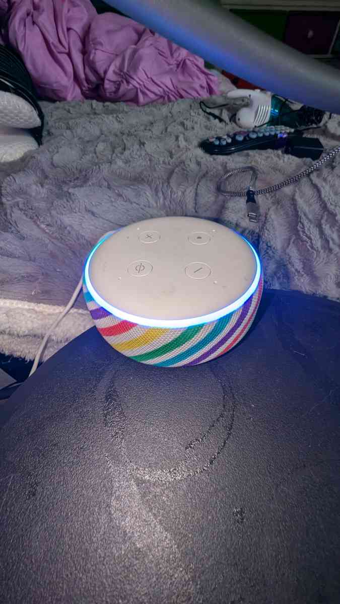 Amazon Echo Dot   Kids alexa