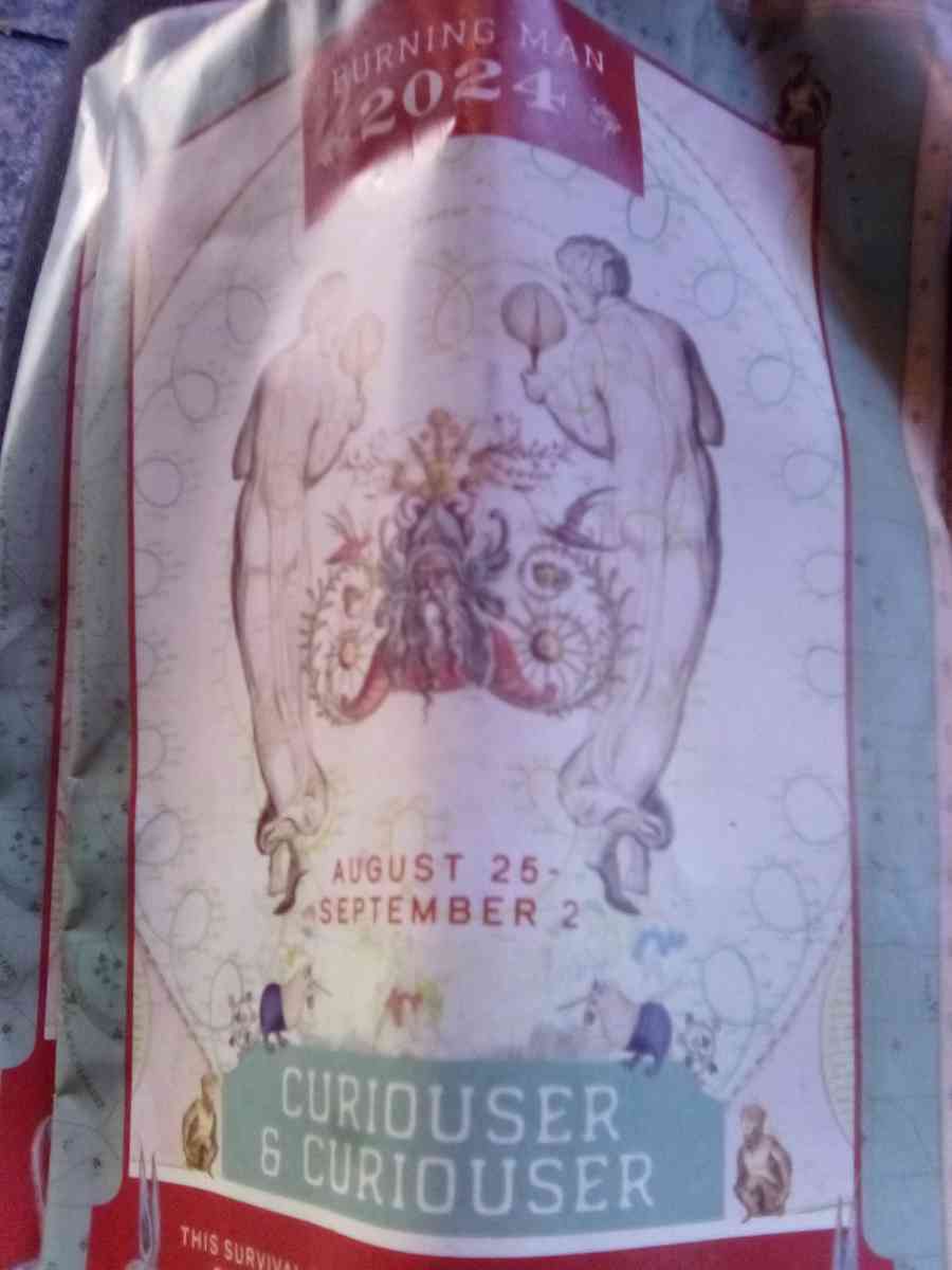 2 tickets to burning man and one parking g pass