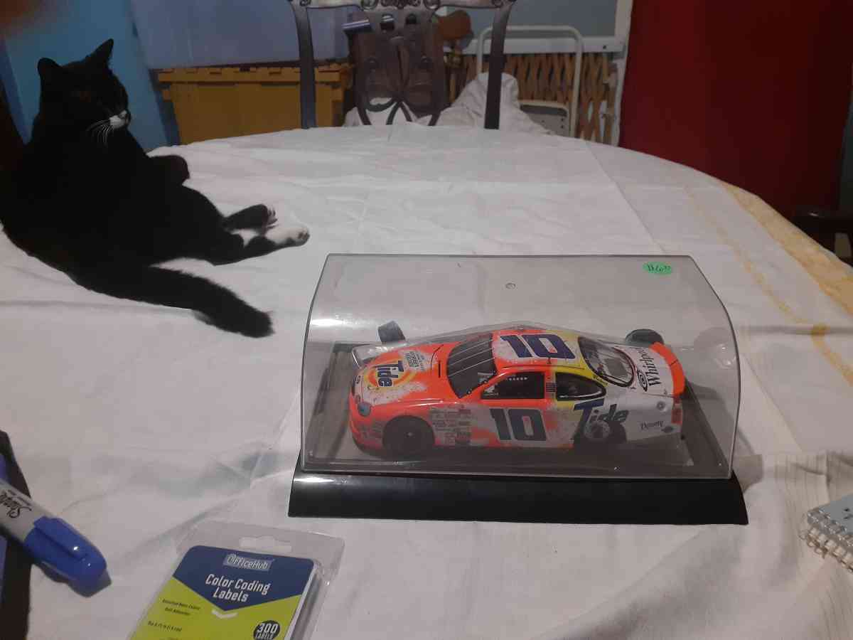 Nascar Collectibles