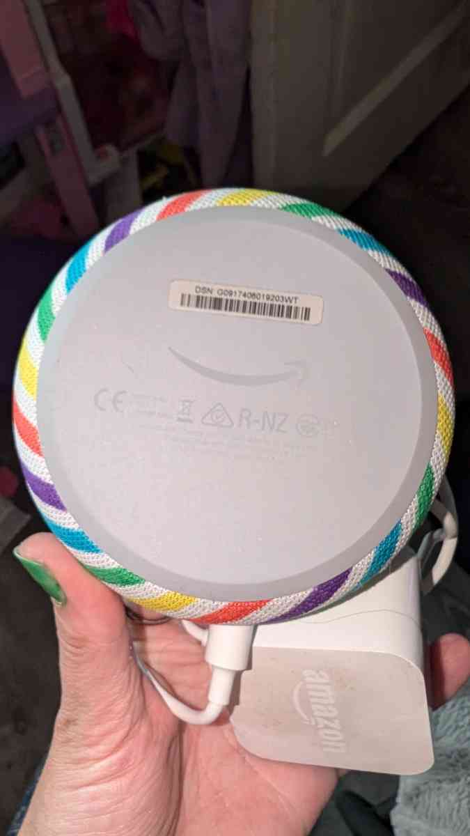 Amazon Echo Dot  Kids