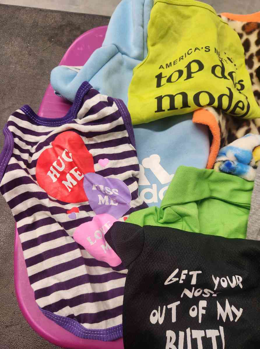 Pet Dog Lot of 11 Outfits Like New S to M