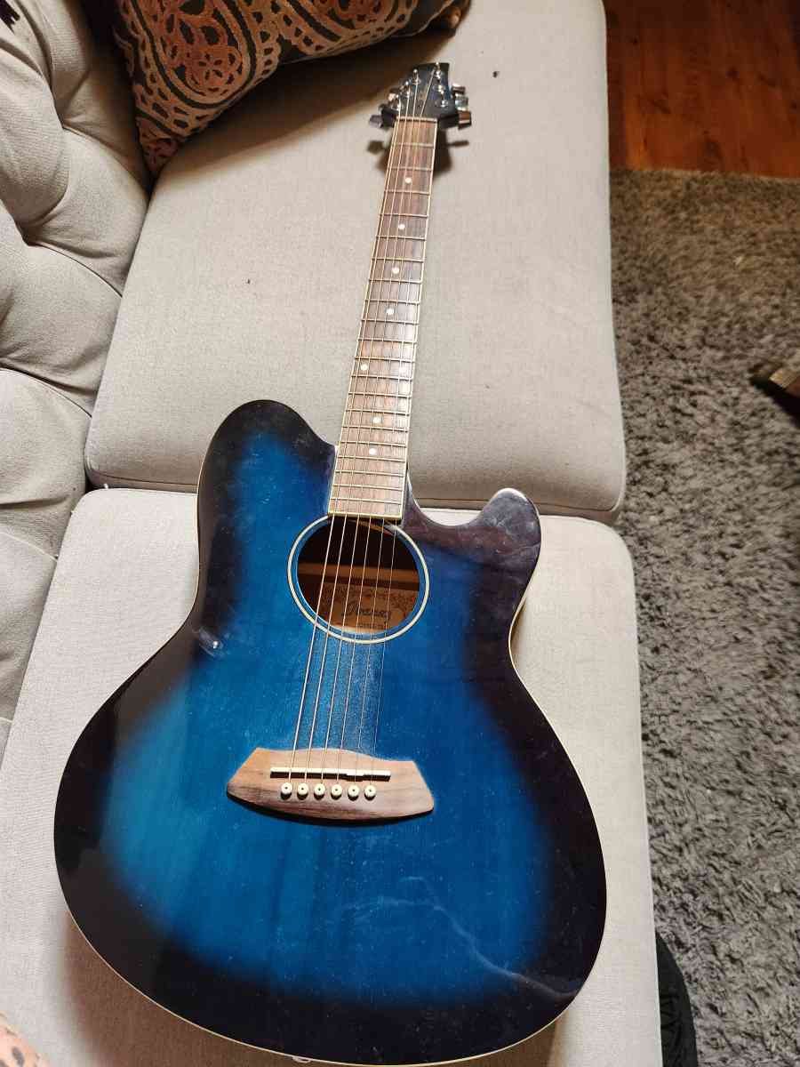 acoustic electric guitar