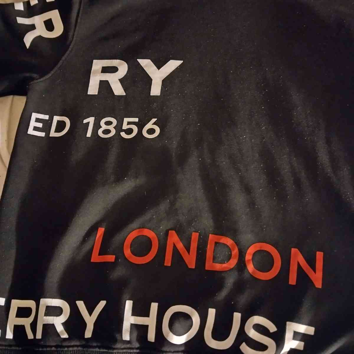 mens Burberry hoodie