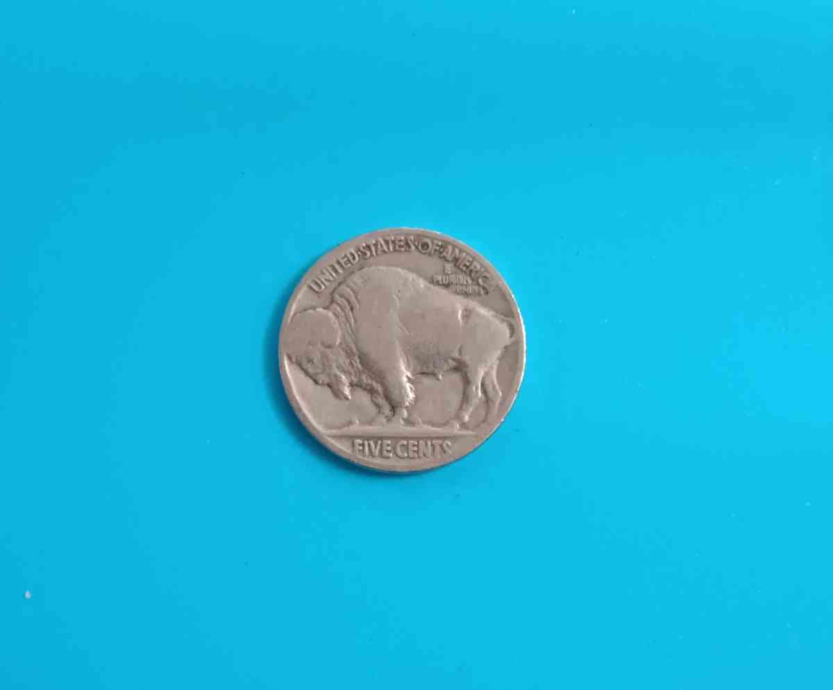 old silver Buffalo nickel