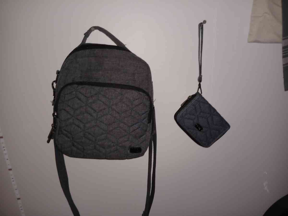 bag with matching wallet