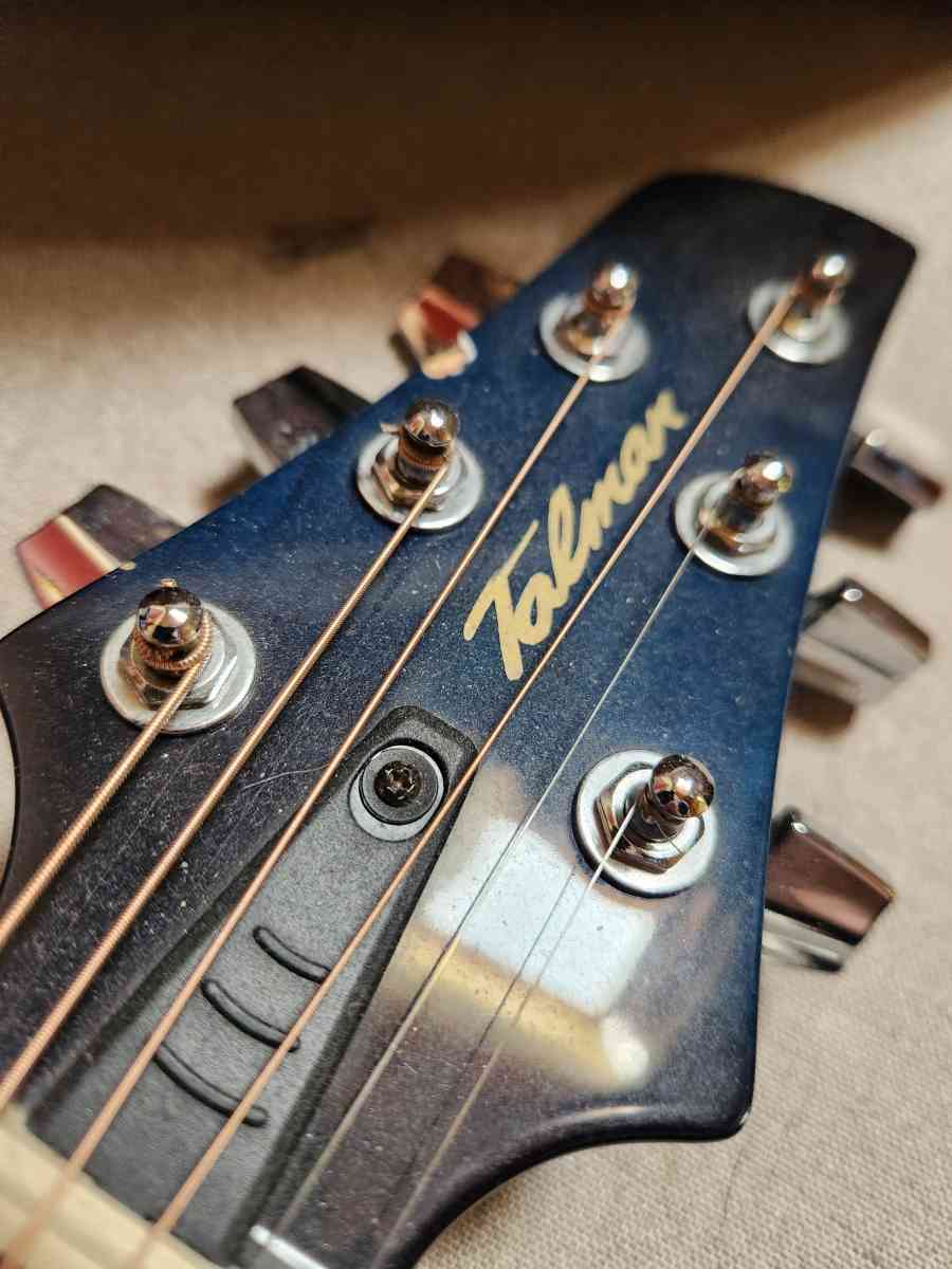 acoustic electric guitar