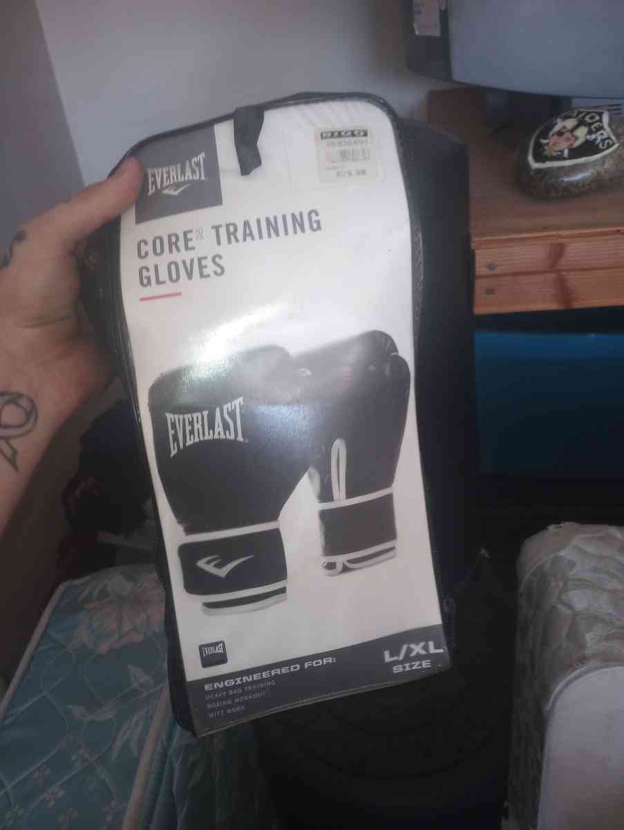 Everlast bag with gloves