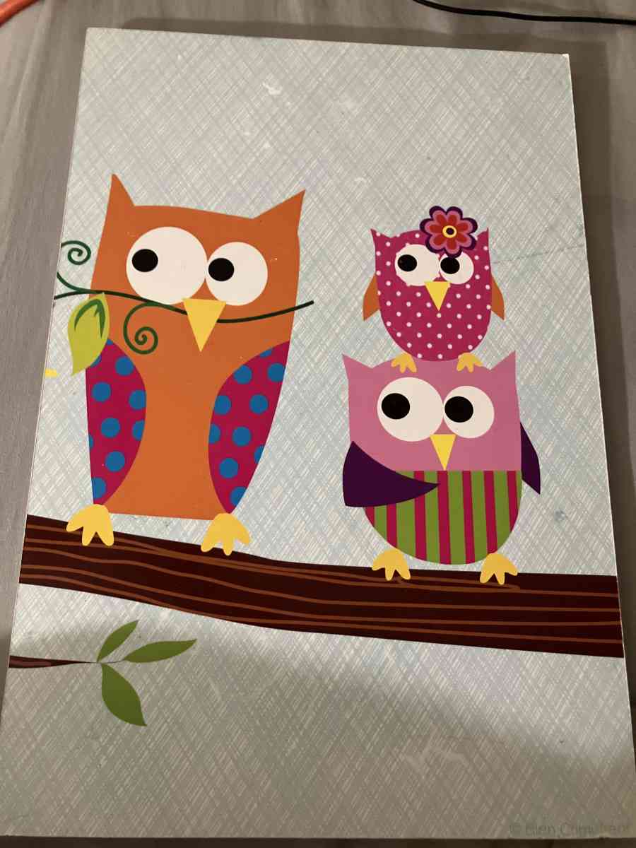 owl picture set