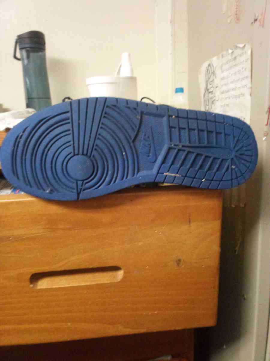 Nike Air Jordan 1 SE