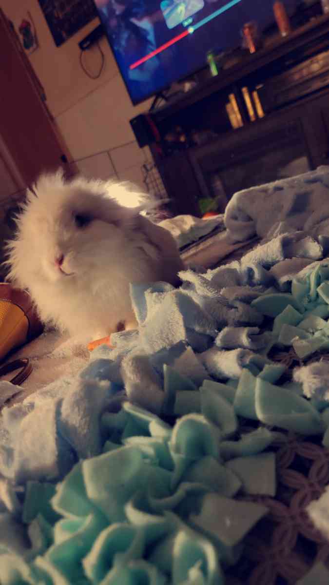 custum snuffle mats washable