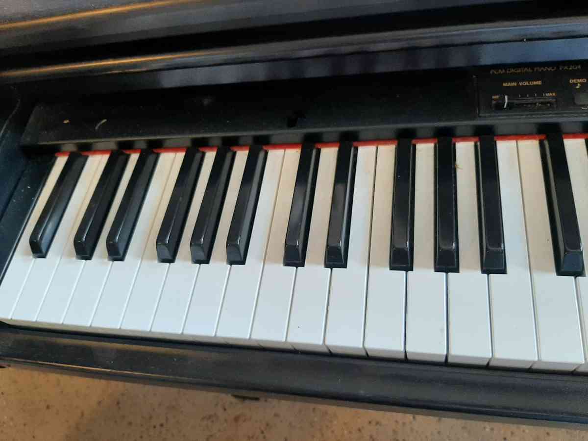 Technics Digital Piano