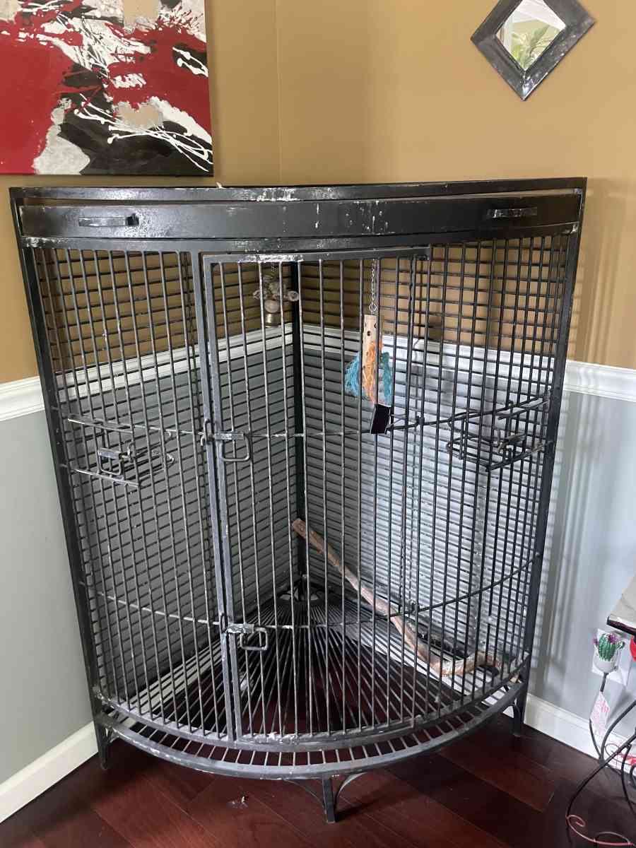 Bird Cage
