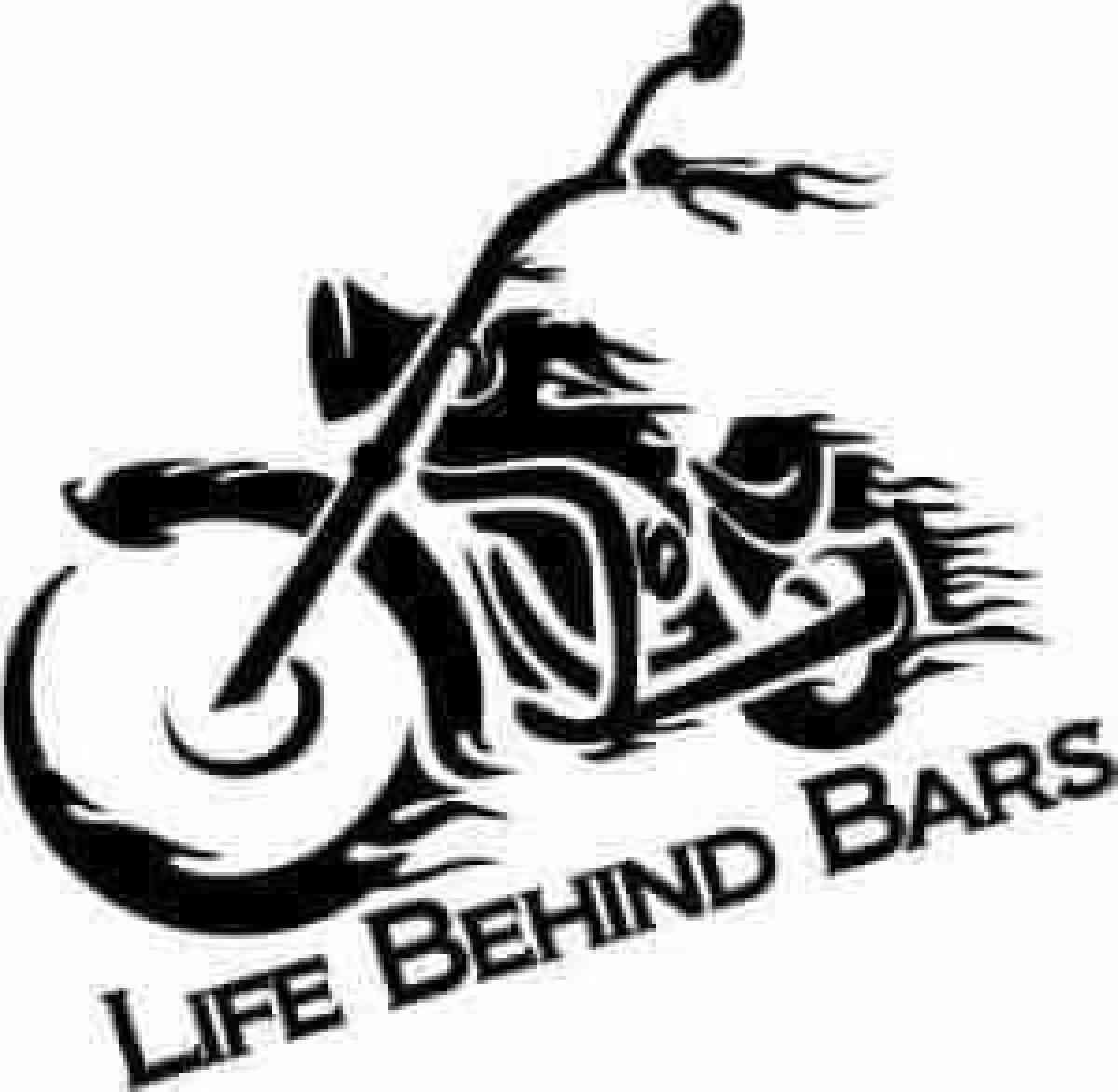 Coustom and pre made vinyl stickers