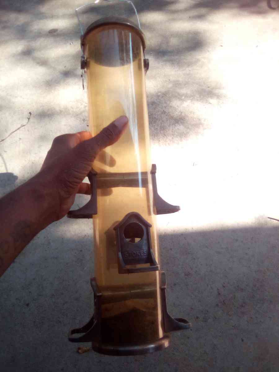 bird feeder