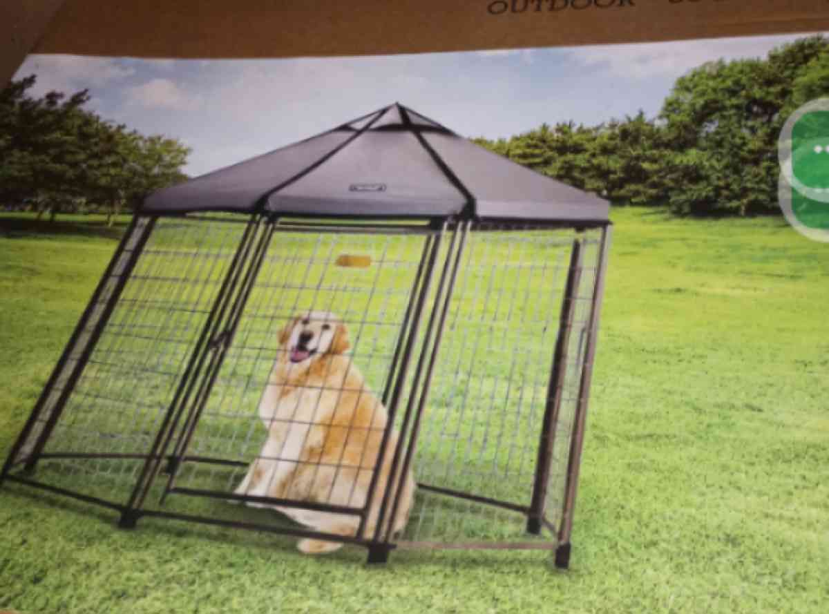 Gazebo Dog Kennel or Chicken Coop