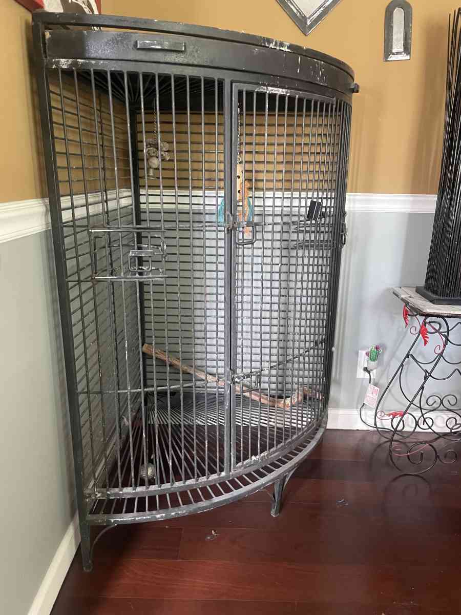 Bird Cage