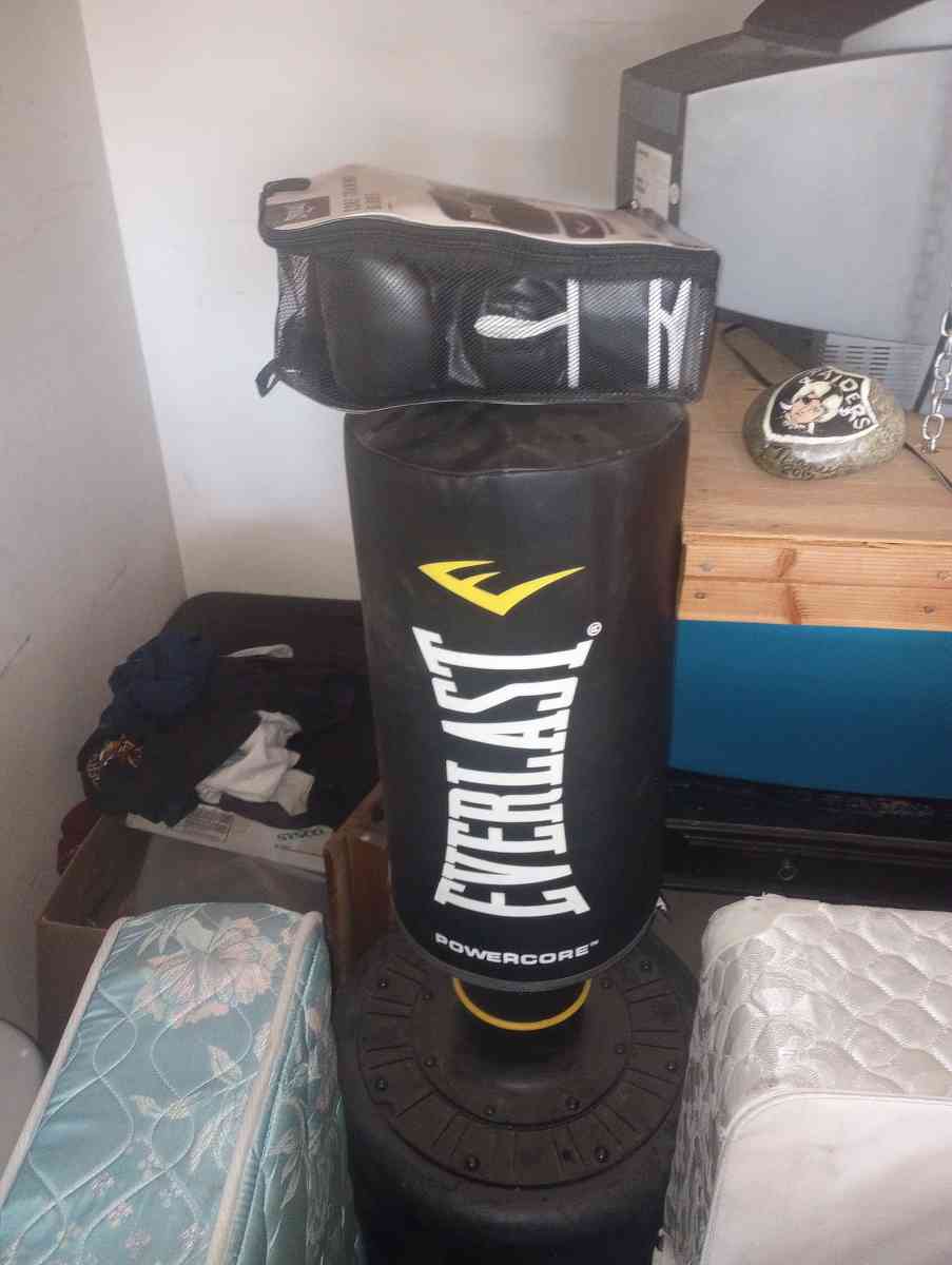 Everlast bag with gloves