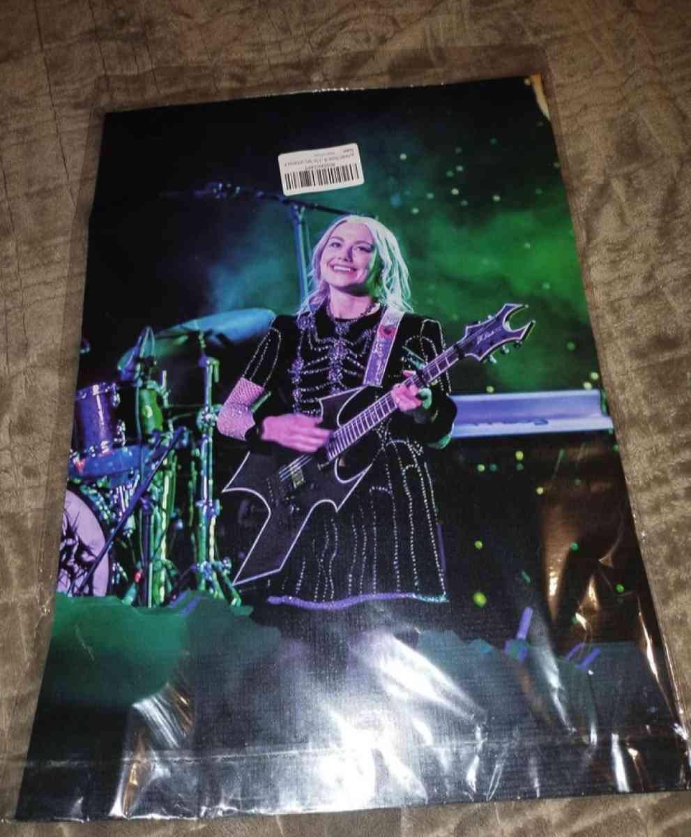 Phoebe Bridgers The Record 8 posters