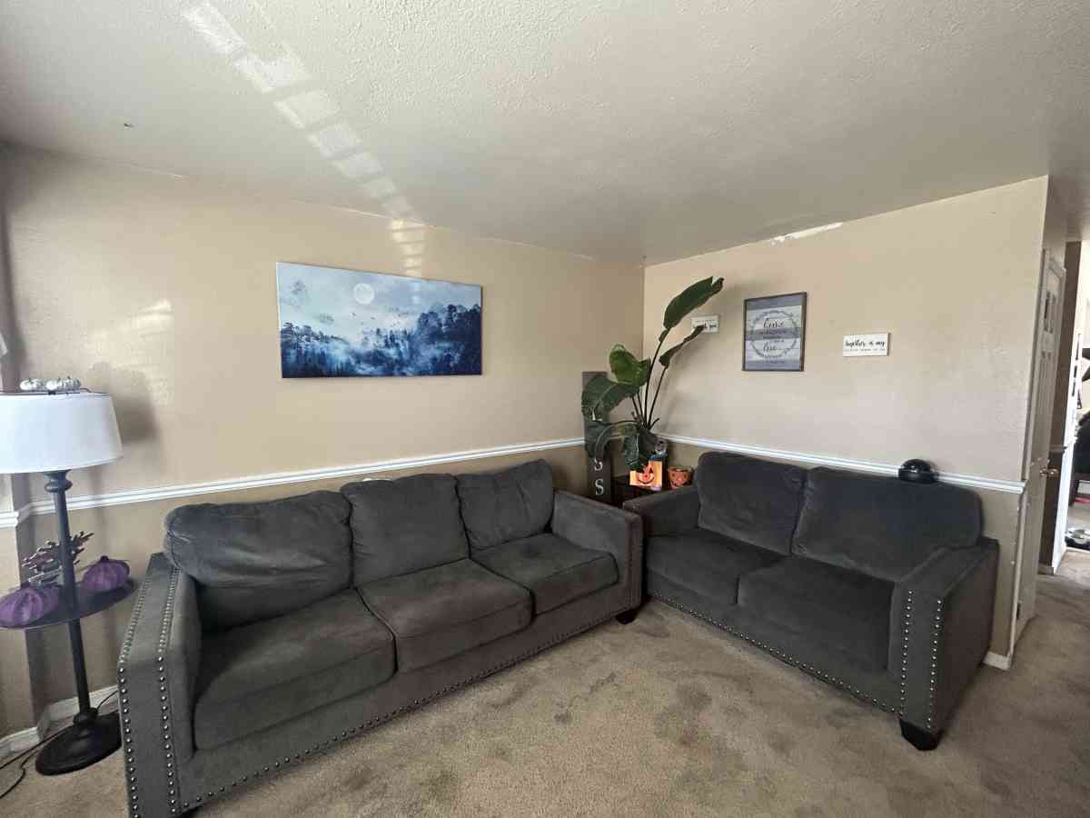 Couch and loveseat