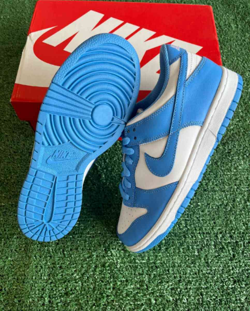 Nike Dunk Low Polar Blue