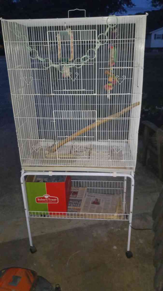 bird  sugar gliders cage