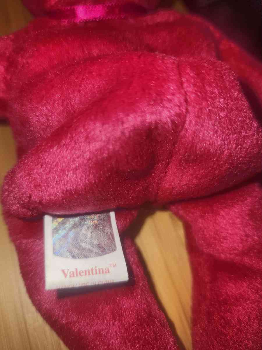Valentina TY Beanie Bear