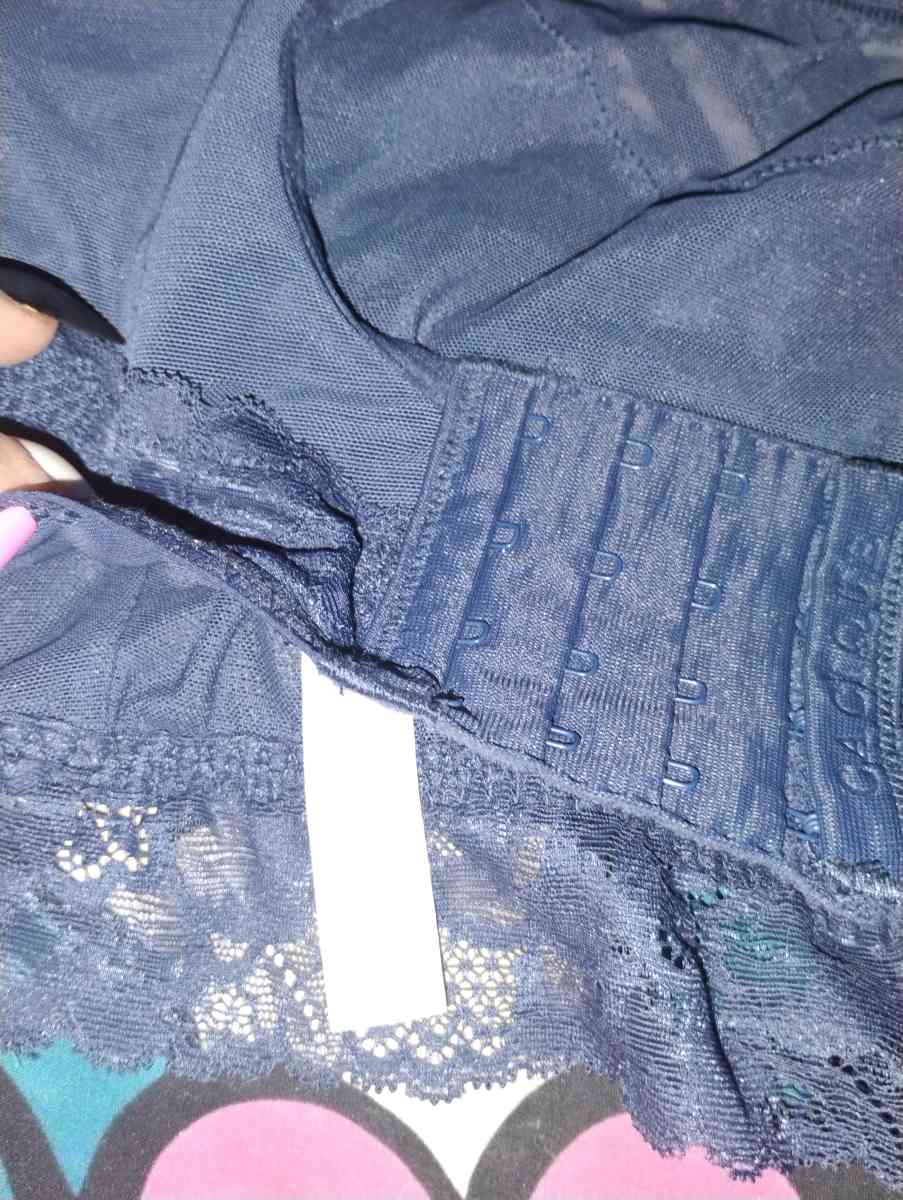 Lanebryant Torrid bras