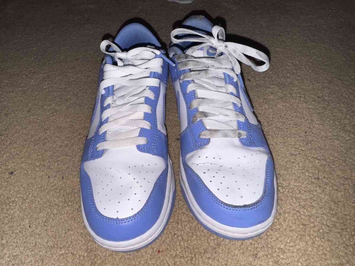 Blue Nike Dunks