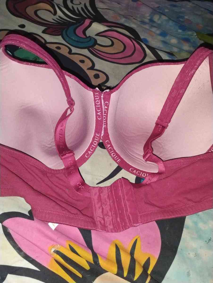 Lanebryant Torrid bras