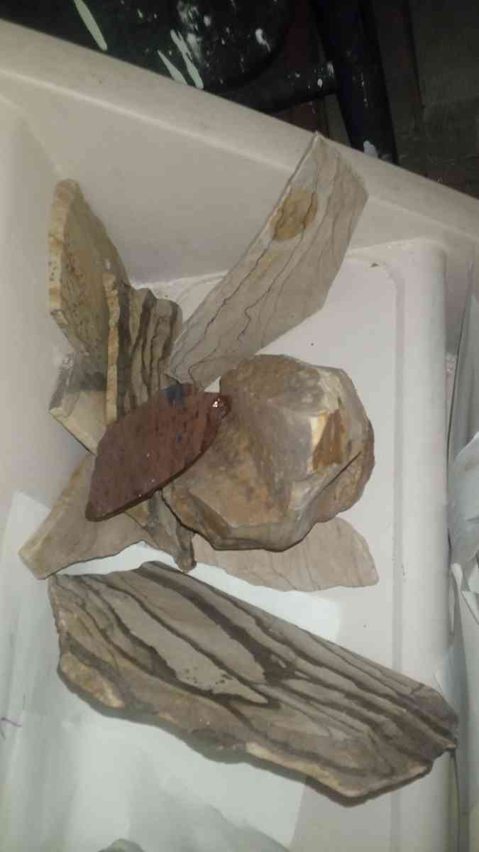 picture jasper beautiful elegant highly recommend