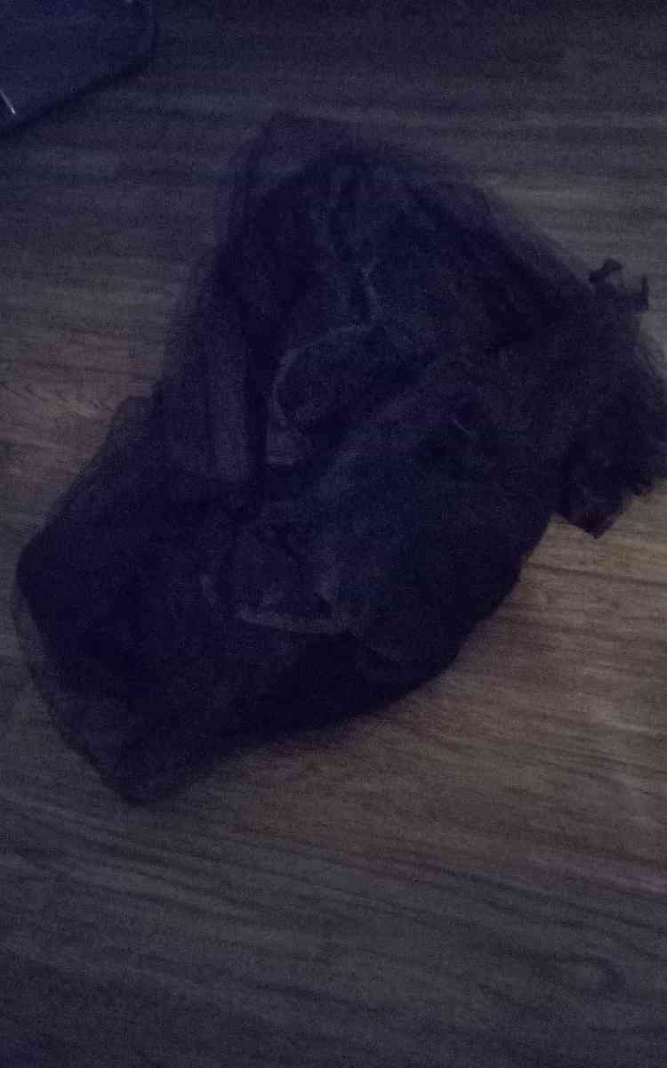 sheer black canopy one size fits all